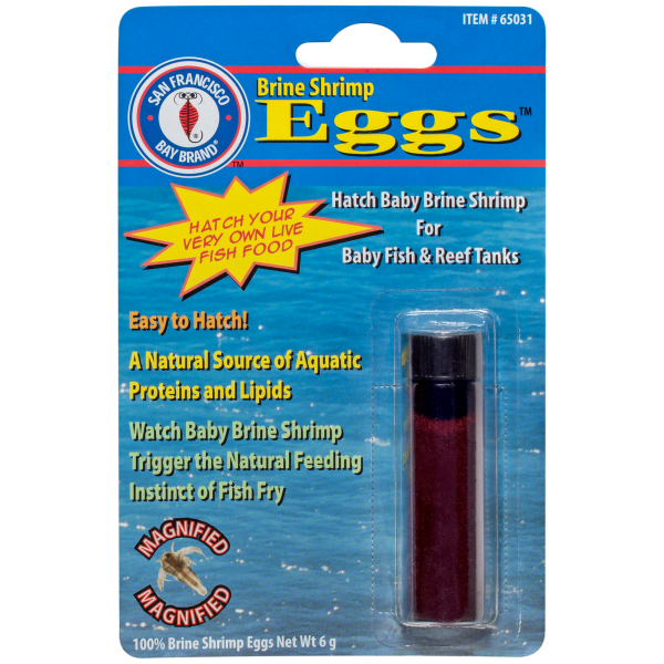 San Francisco Bay Brand Brine Shrimp Eggs 6 g
