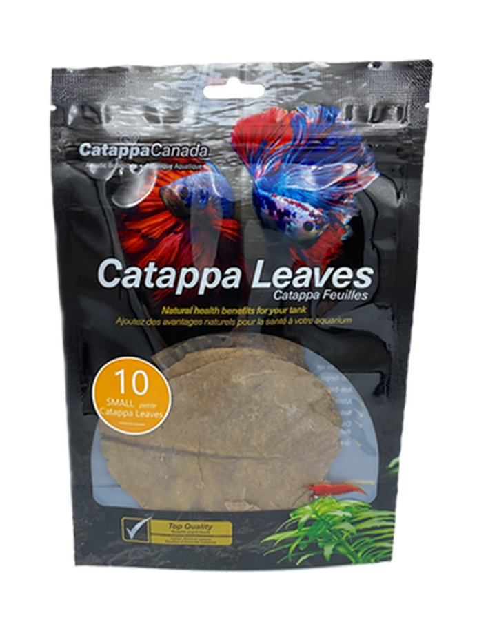 Catappa Leaves