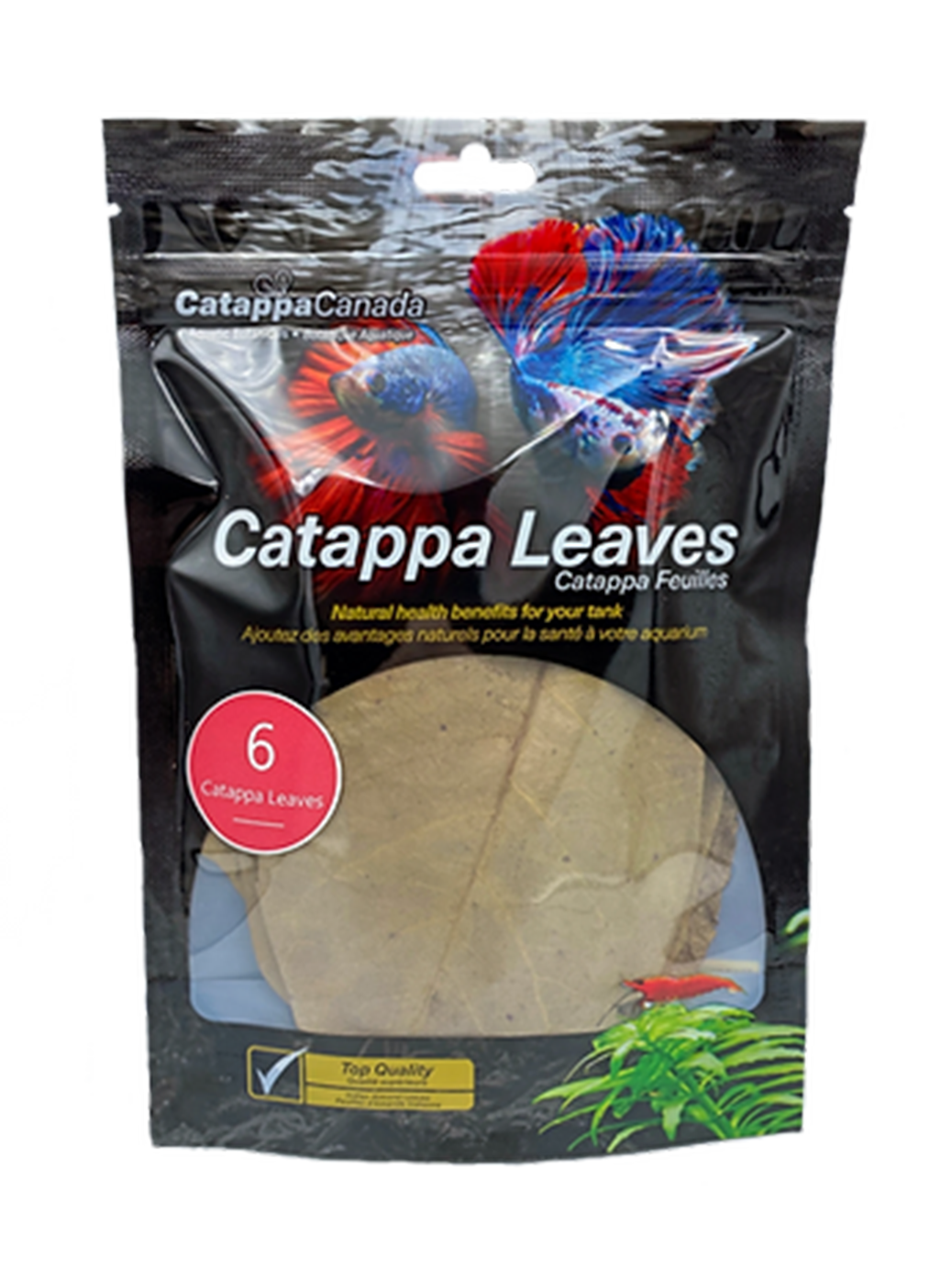 Catappa Leaves