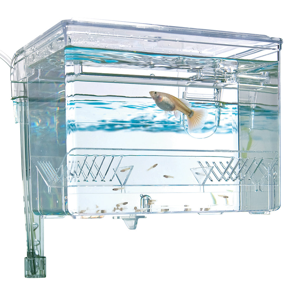 Fluval Hang on Breeding Box, Med