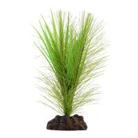 FL Green Feather Plant 5in