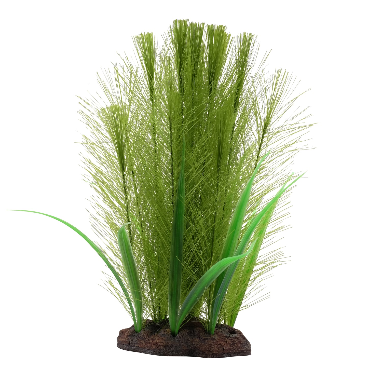 /FL Green Feather Plant Set 8in