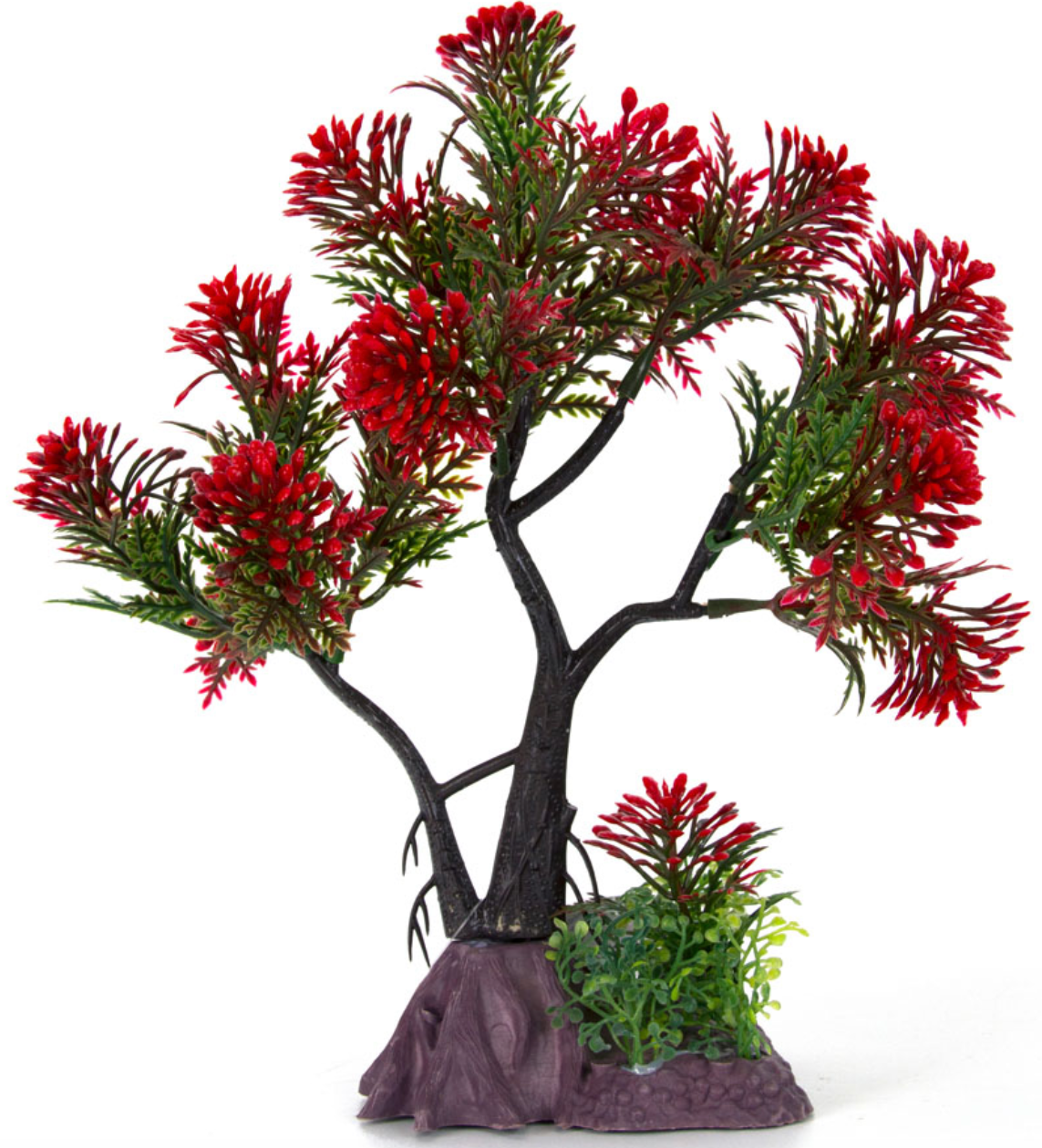 Aqua-Fit Juniper Bonsai