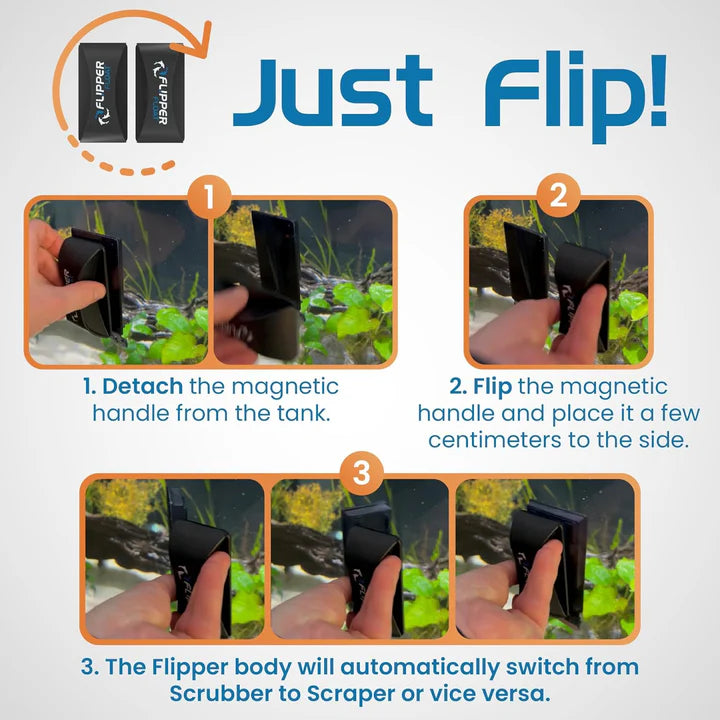 Flipper Float Algae Magnet