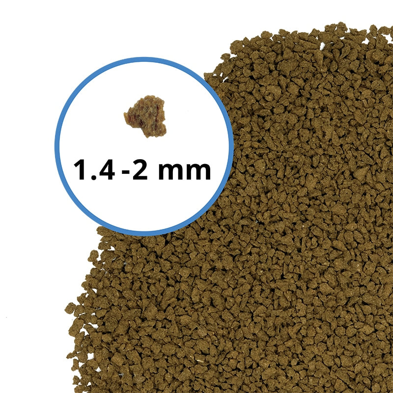 Fluval Bug Bites Tropical Medium/Large