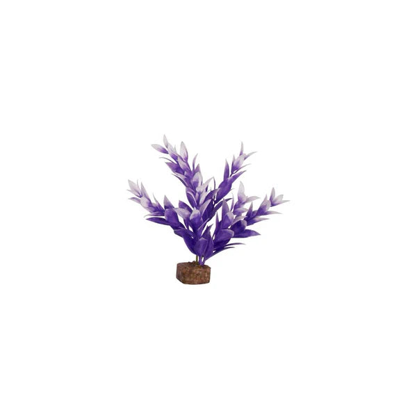 /Tetra GloFish Cycle Purple/White Plant