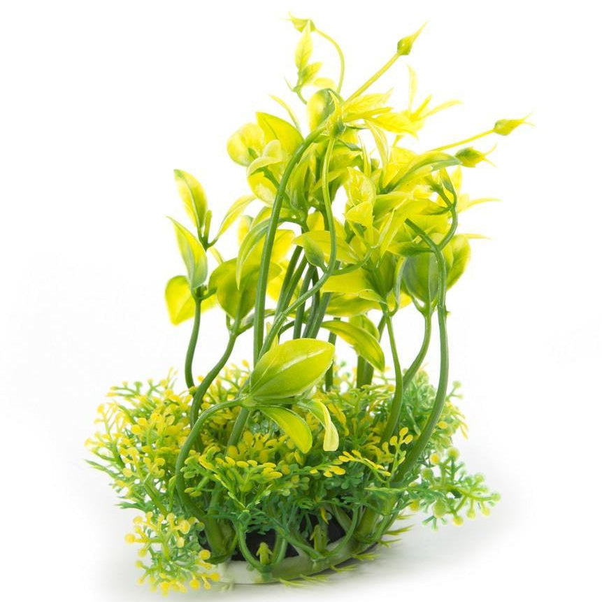 Aqua-Fit Plastic Plant - 5"