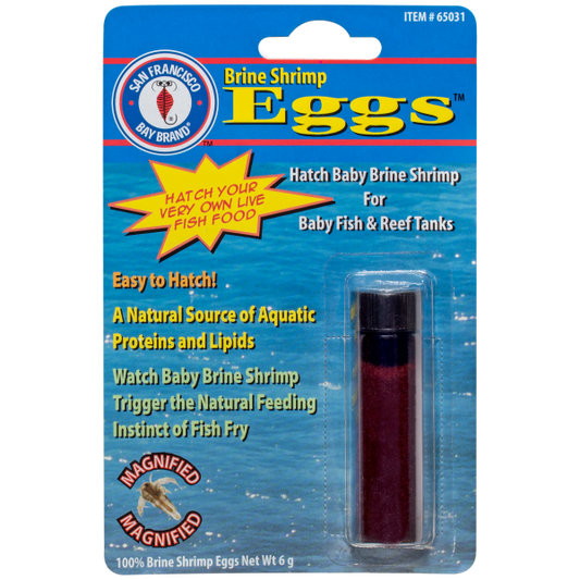 San Francisco Bay Brand brine shrimp eggs, 6 g