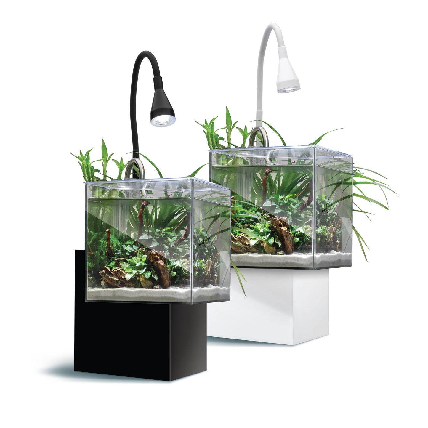 Fluval Kühl Microscaping Kit  - 8L (2.1 US Gal)