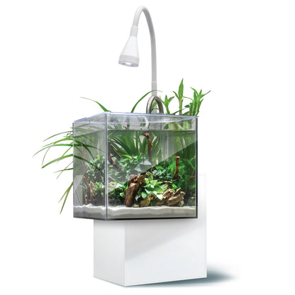 Fluval Kühl Microscaping Kit  - 8L (2.1 US Gal)