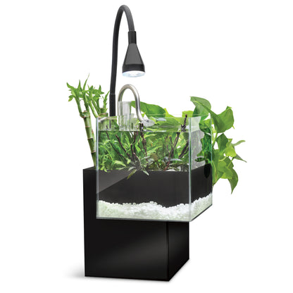 Fluval Kühl Microscaping Kit  - 8L (2.1 US Gal)