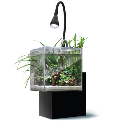 Fluval Kühl Microscaping Kit  - 8L (2.1 US Gal)