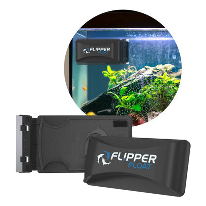 Flipper Float Algae Magnet