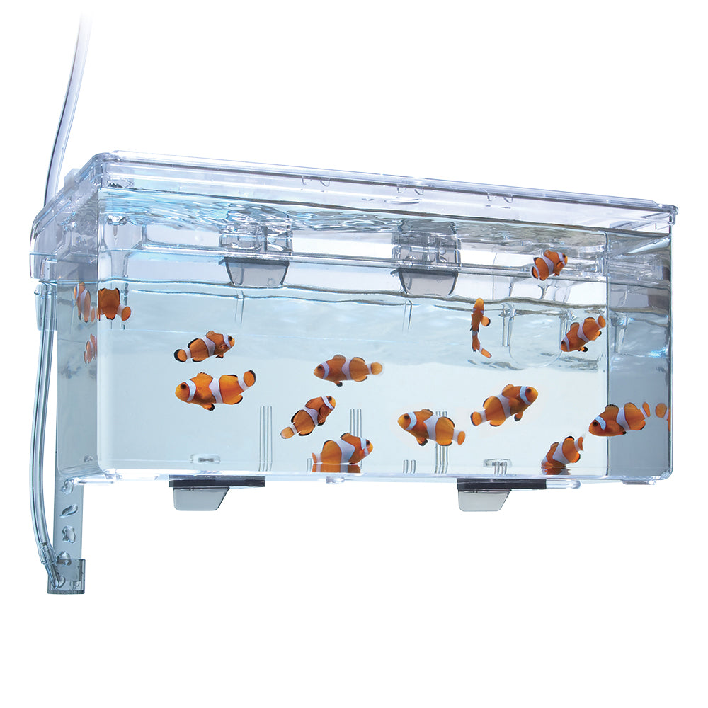 FLuval Hang on Breeding Box, Large
