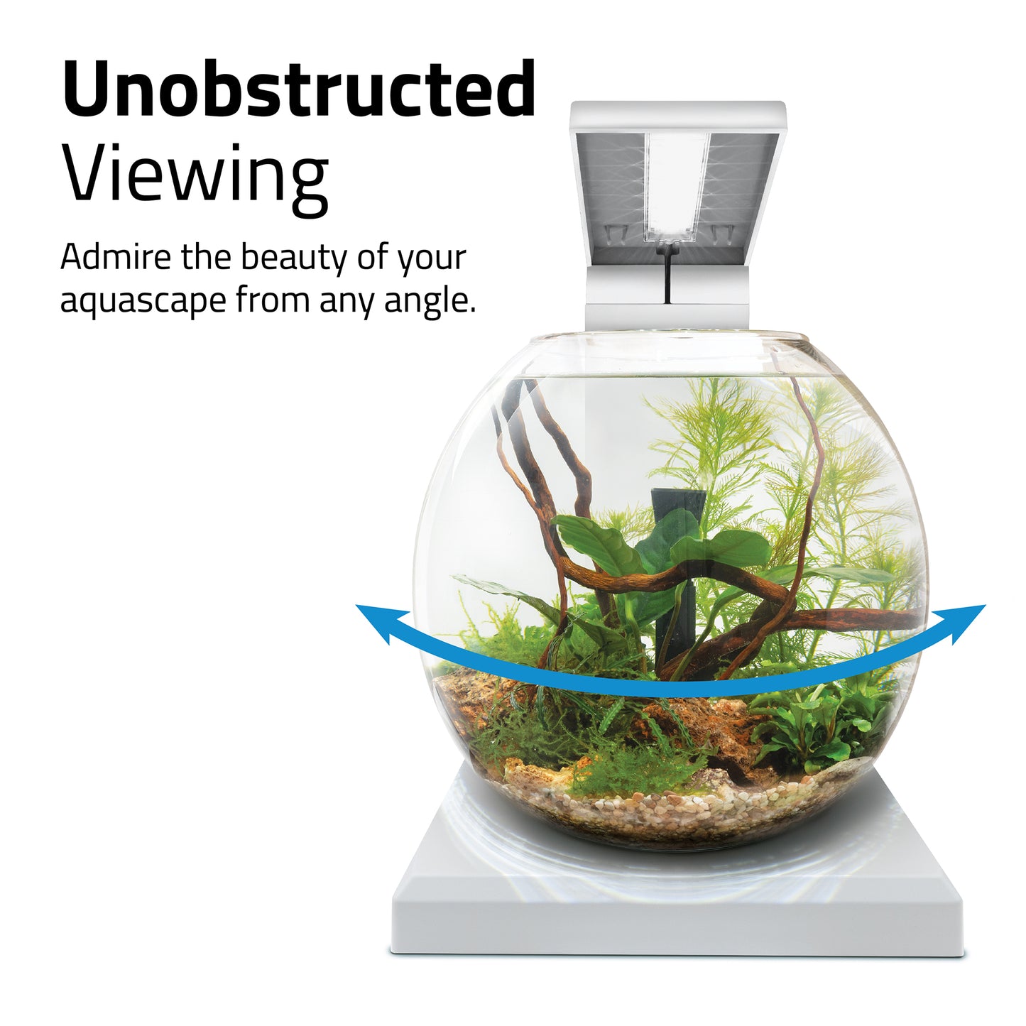 Fluval LIV Microscaping Aquarium Kit