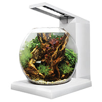 Fluval LIV Microscaping Aquarium Kit
