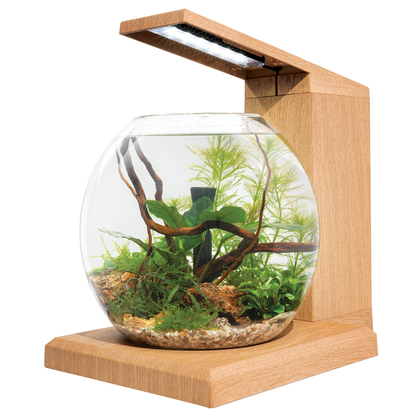 Fluval LIV Microscaping Aquarium Kit