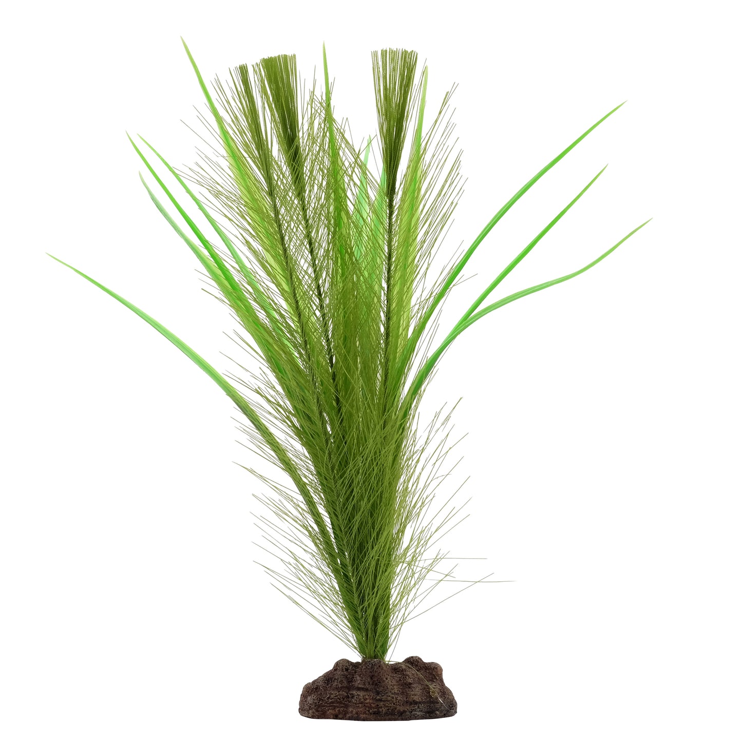 FL Green Feather Plant 12in