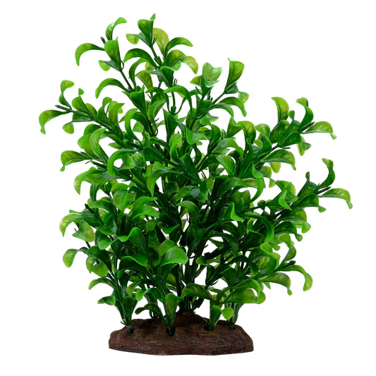 Fluval Large Bacopa Plant Set 8in