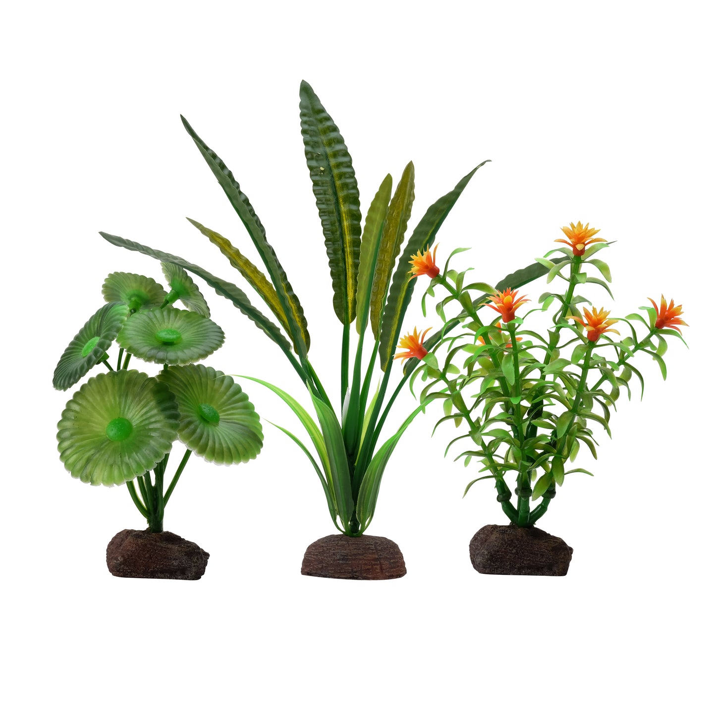 /FL Elodea 3 Plant Set
