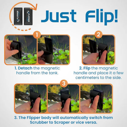 Flipper Float Algae Magnet