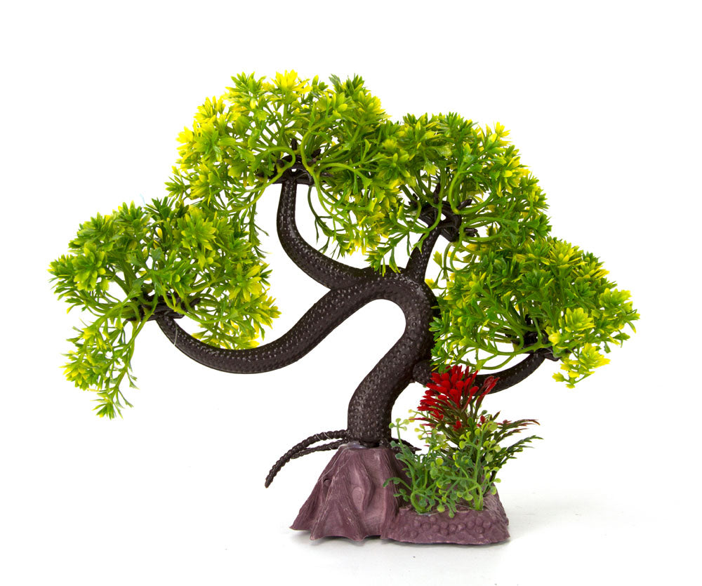 Aqua-Fit Bonsai