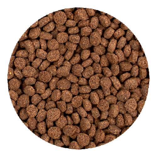 Hikari Minivore Delite Sinking Pellet