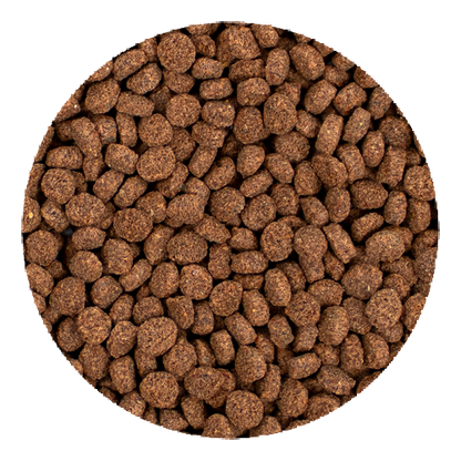 Hikari Minivore Delite Sinking Pellet