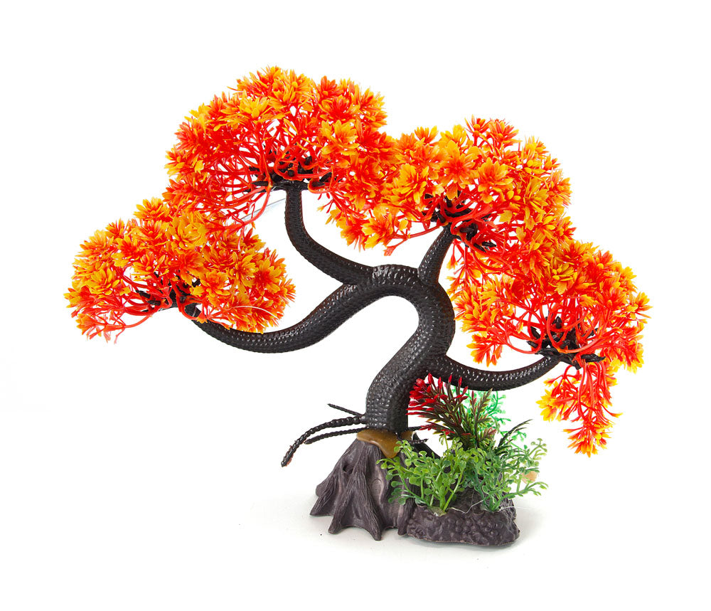 Aqua-Fit Bonsai