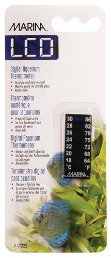 Marina LCD Thermometer