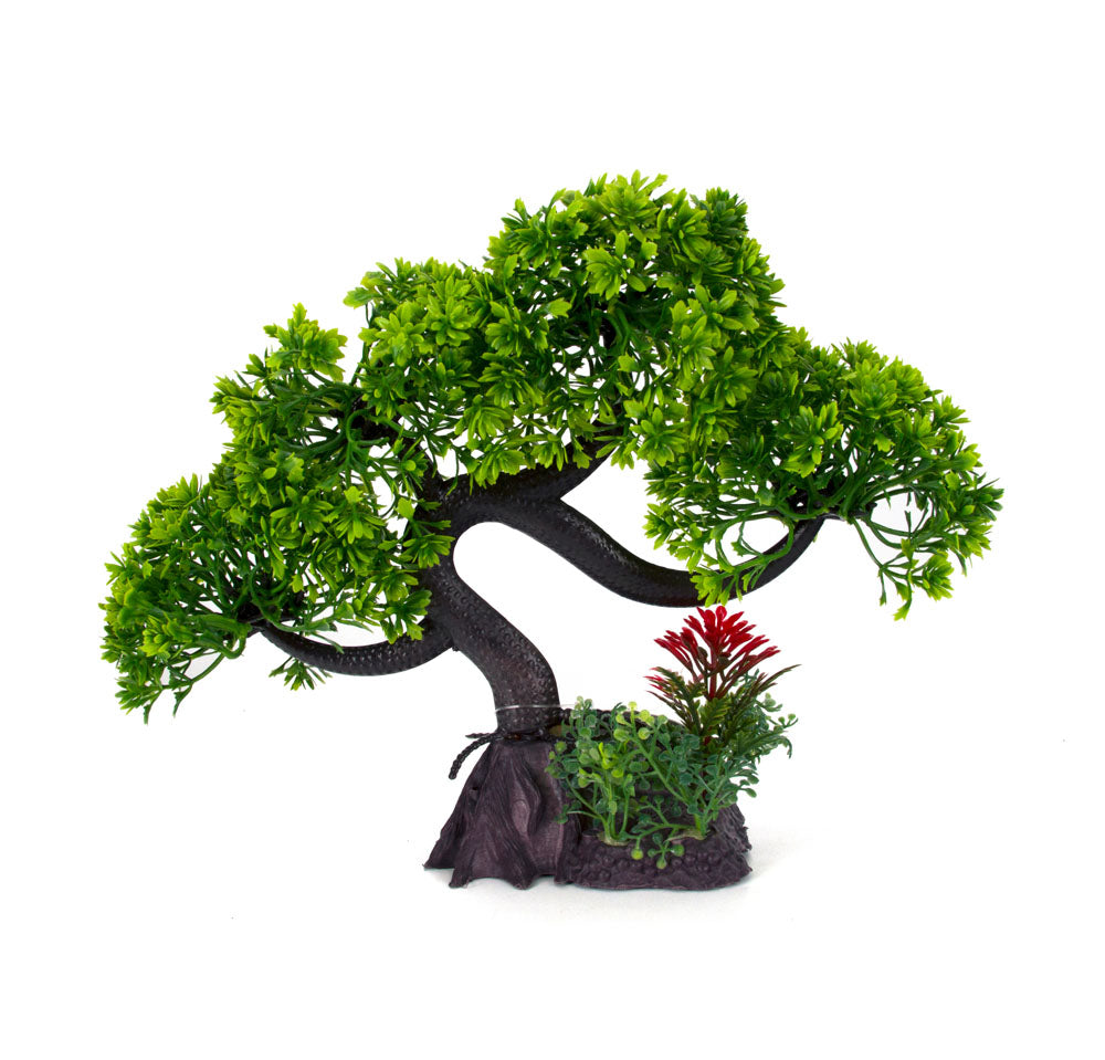 Aqua-Fit Bonsai